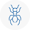 Ant Removals In Belgravia