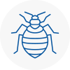 Bed Bug Extermination In Belgravia