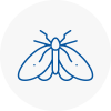Moth Control Specialists In Belgravia